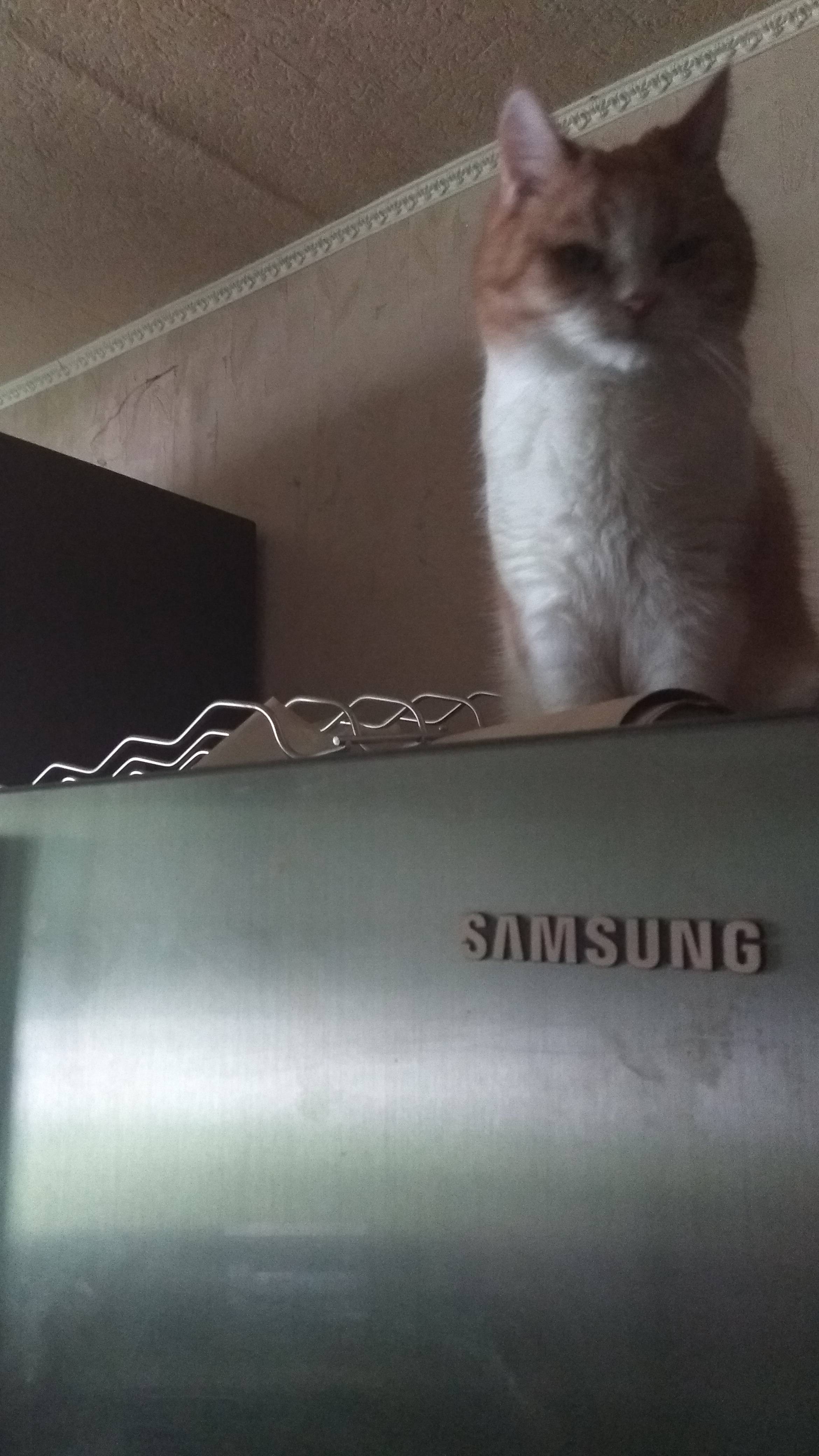 ♐ ♔ Соболь А. ♛ 🇷🇺