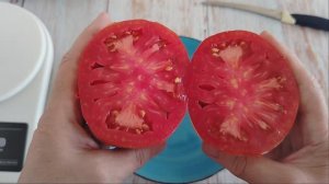 Томат ИНЖИРНЫЙ РУБИНОВЫЙ. Обзор Описание. Ожидаемое/реальность. Урожай 2024 год