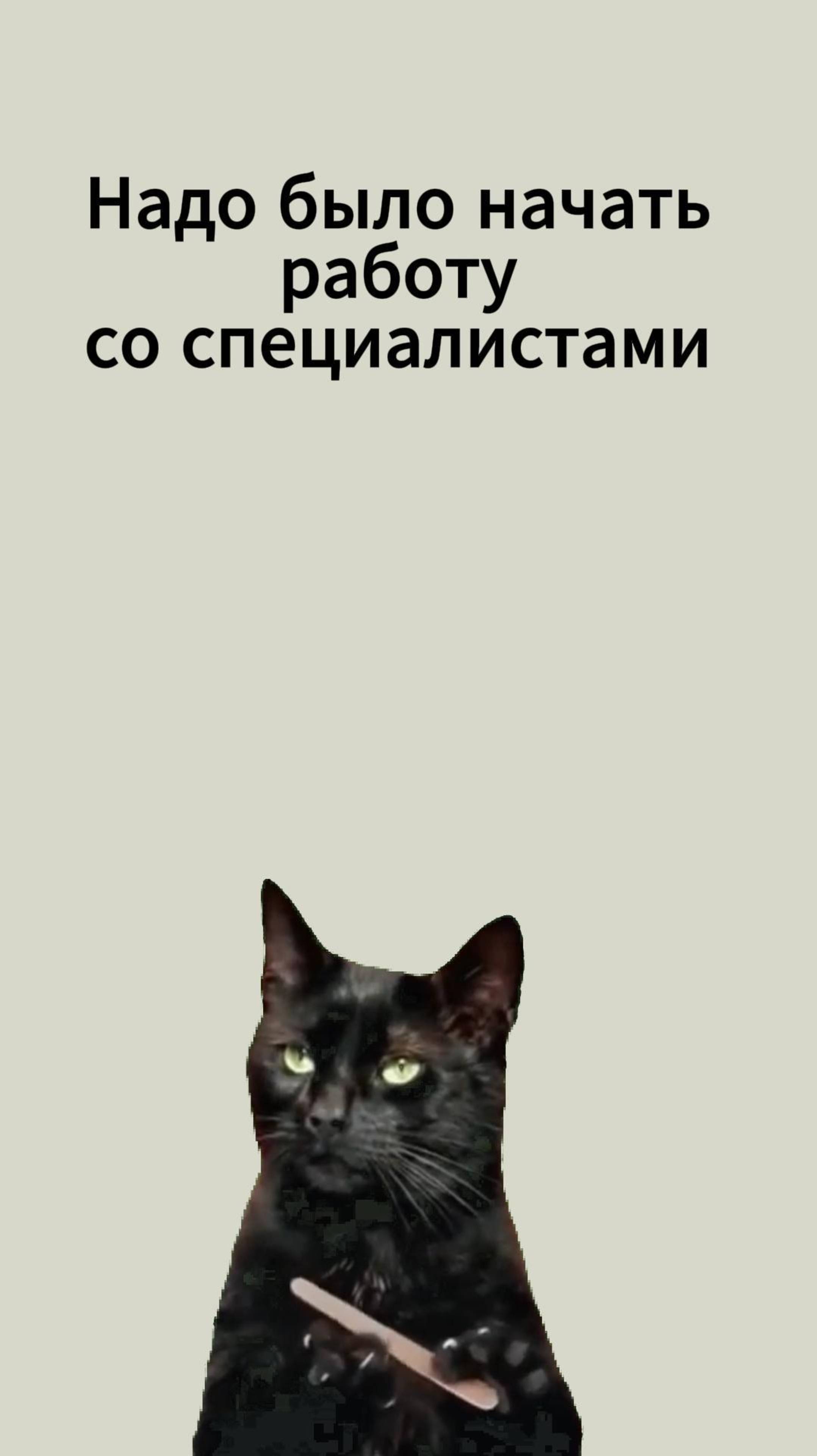 Открыл ИП и думал, что всё просто? 😅