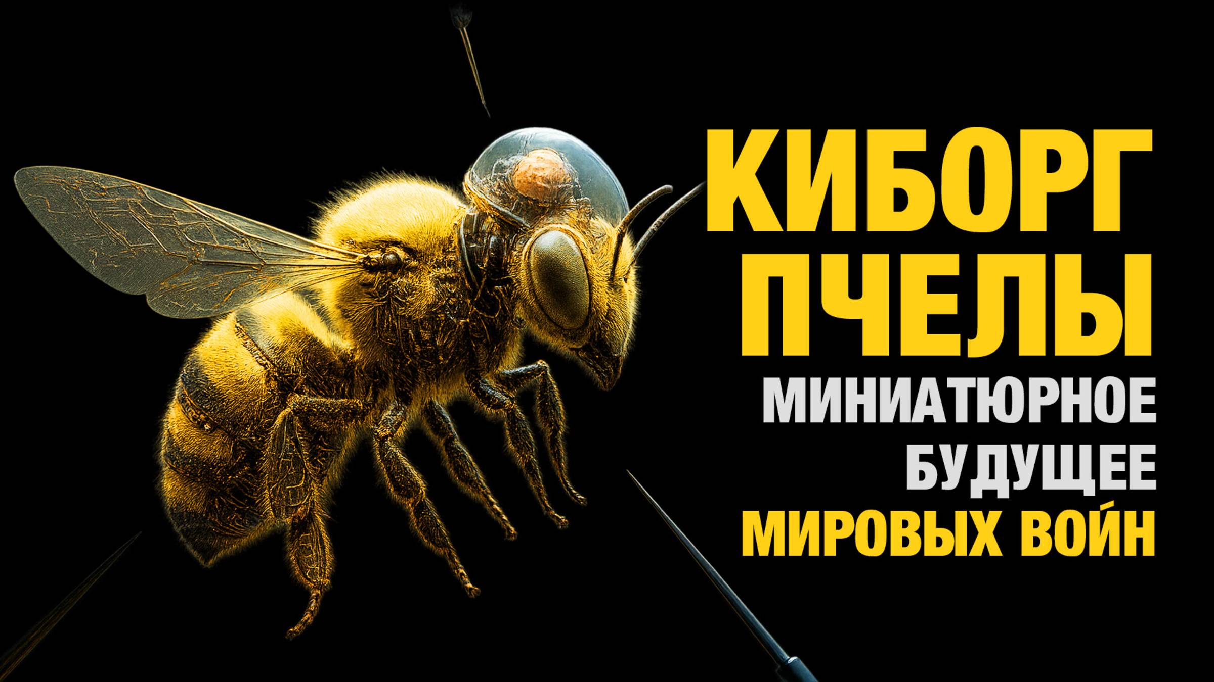 Насекомые киборги для разведок и войн смотреть онлайн