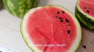 Арбузы из теплицы, Фотон и Продюсер в разрезе и на вкус.