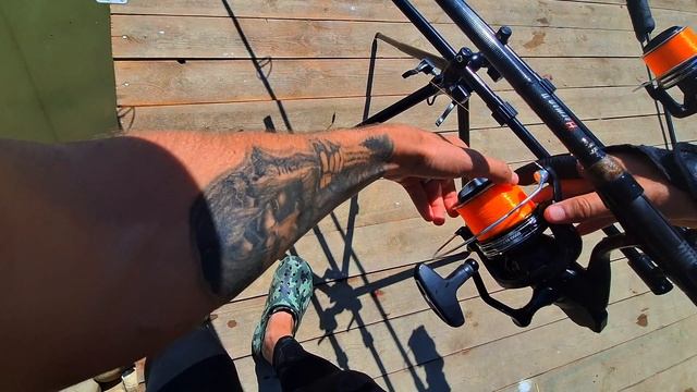 Рыболовная сессия на РСК Кужора 🎣 Охота на карпов-кои продолжается