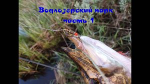 Водлозерский парк. Рыбалка в Карелии. Отдых и путешествие.