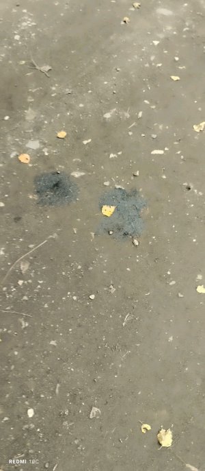 что-то не странное😱