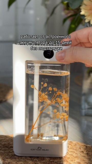 Абсолют Электроника