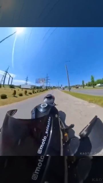 #ДТП Норовистый конь сбросил наездницу и был таков смотреть онлайн