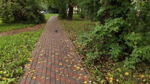 Проверка камеры Oppo Reno 14f в разрешении 4к30