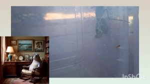 Кто  такой Богомол 1 часть