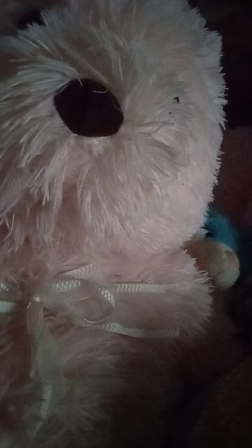 VID_20250824_102910.mp4