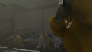 Атомный апокалипсис в Японии: Расследование аварии на Фукусиме →👤 #Интернет_Истории