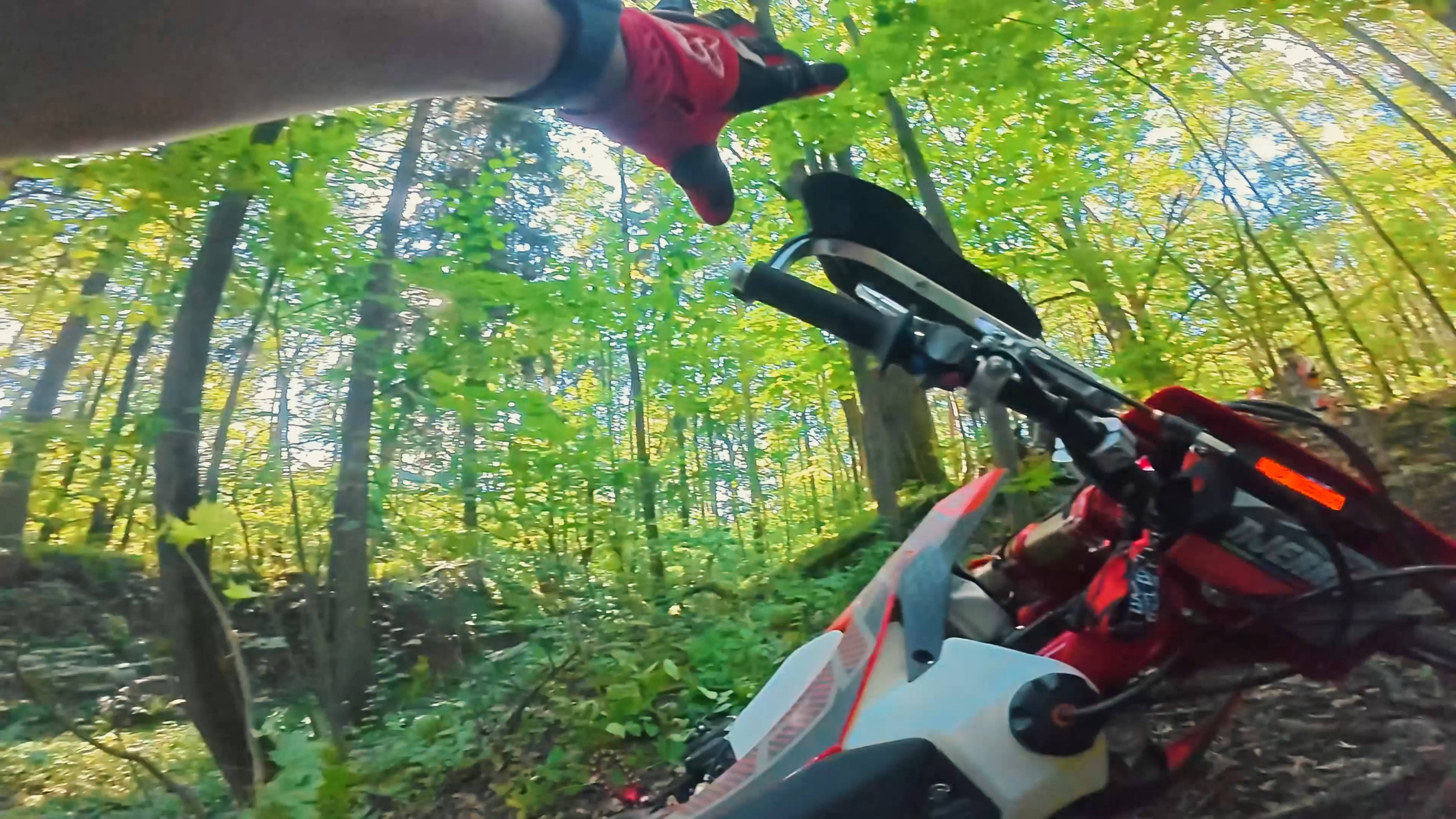 Эндуро Салтыковка | Узкие тропы и техничный лес