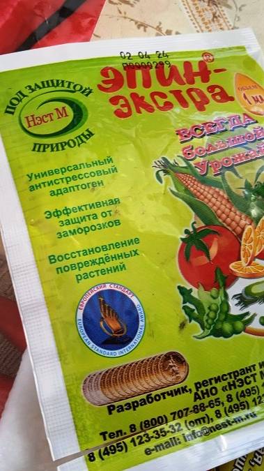 Дача ягодки цветочки