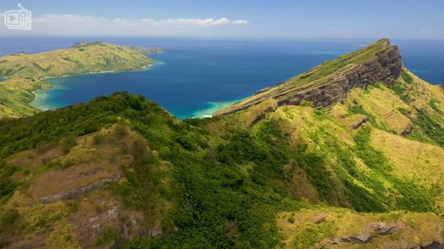 Tropical Deep House #313