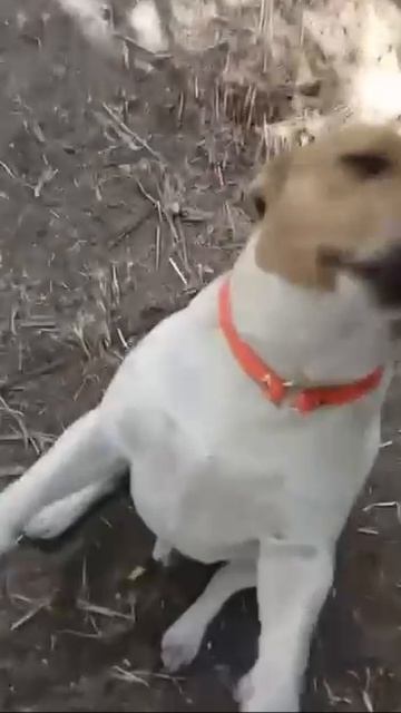 сегодня мы ближе к победе