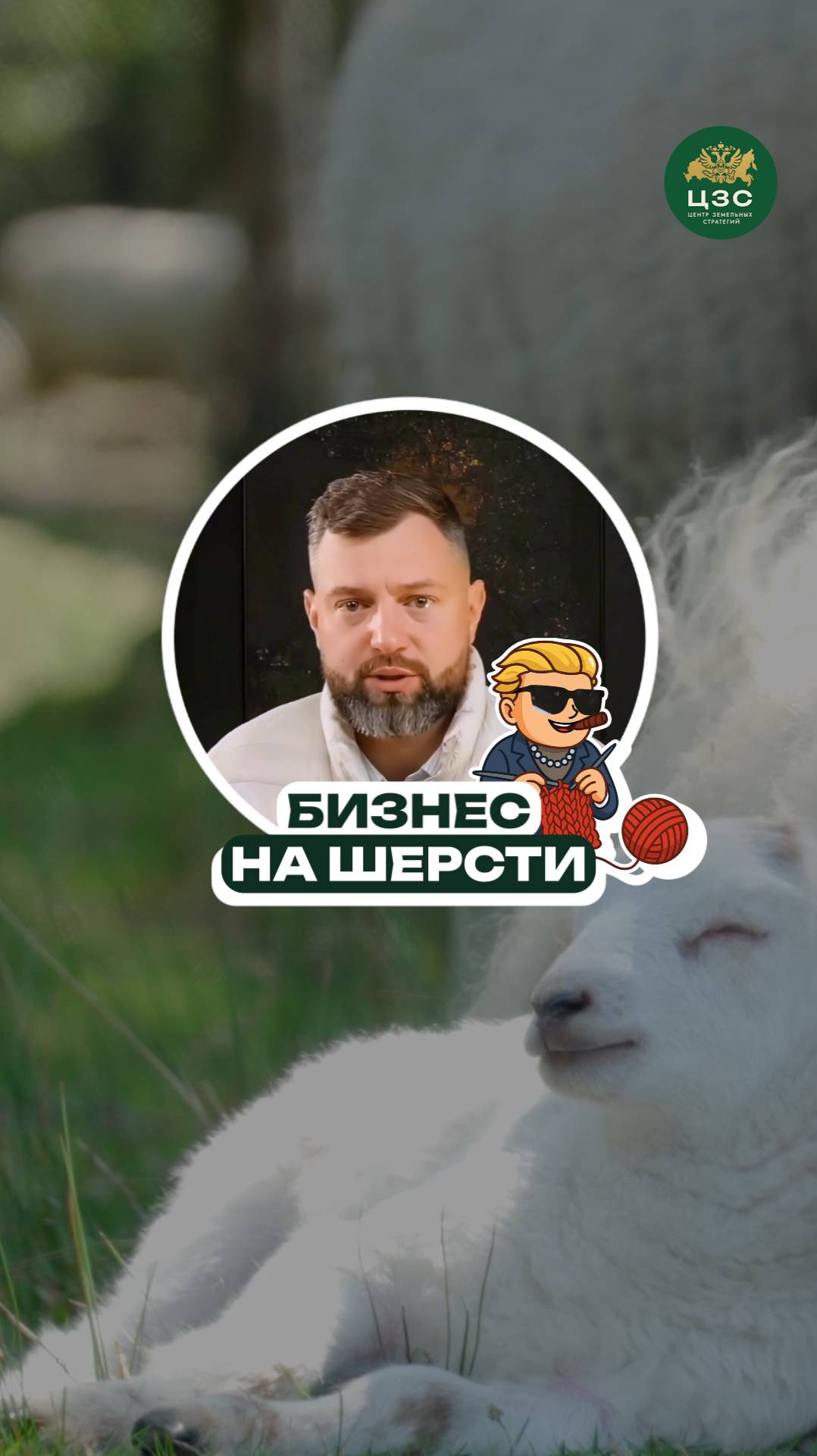 Бизнес на шерсти: просто и выгодно!