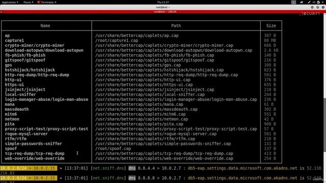 11.7. Bypassing HTTPS7 смотреть онлайн