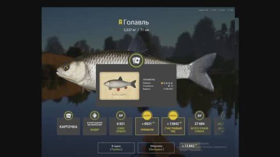 РУССКАЯ РЫБАЛКА 4 РР4 ТРОФЕЙ ГОЛАВЛЬ ВЬЮНОК