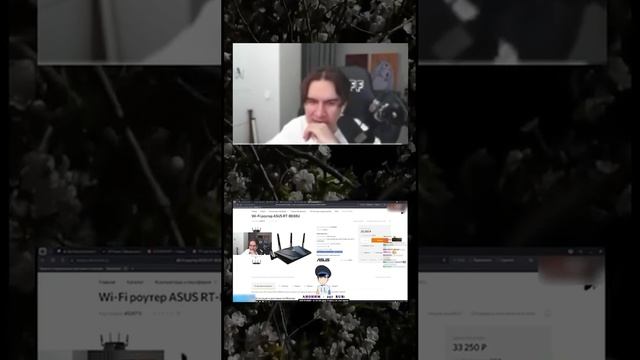 Твич: Bratishkinoff