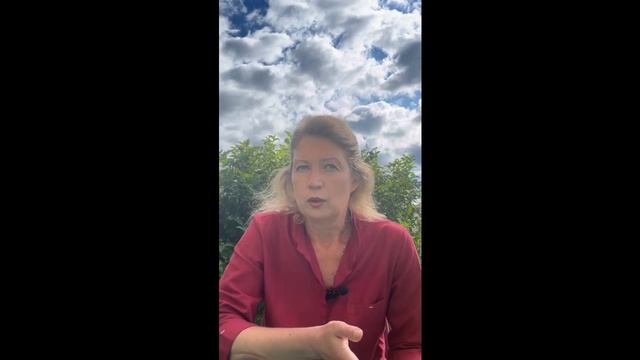 Декларация по НДС после закрытия ИП: выхода нет? смотреть онлайн