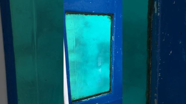 Едем смотреть на рыбок в Индийском океане