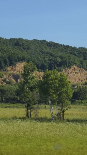 Проехал 7500 км от Владивостока смотреть онлайн