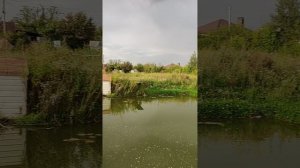 Участок снт Танаис-2