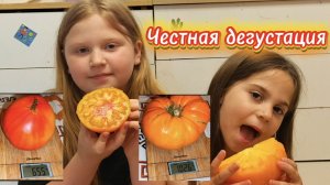 Самая честная дегустация томатов! От моих дочурок.🤗