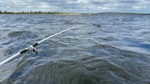 Не успевает опуститься кольцо, как сразу удар. Рыбалка