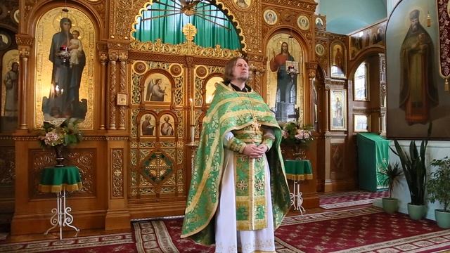 Протоиерей Димитрий Галкин. Проповедь на воскресное апостольское чтение. 24 июня 2018 г.