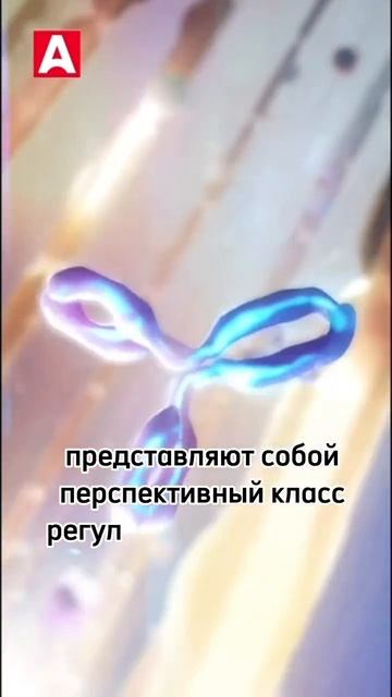 Пептиды эпифиза - дирижеры нашего организма!