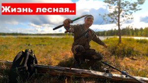 Таёжные будни: Сбор грибов, рыбалка и жизнь в лесной избушке