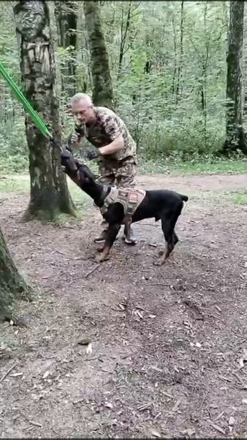 СТАВИМ ГЛУБИНУ ХВАТА И УДЕРЖАНИЕ. "МОИ ДОБЕРМАНЫ" смотреть онлайн