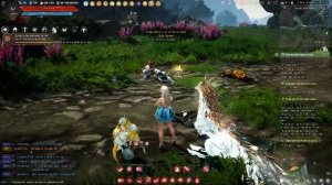 Black Desert прохождение Идании