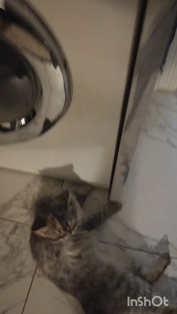 Китти и Саня для Авито 7