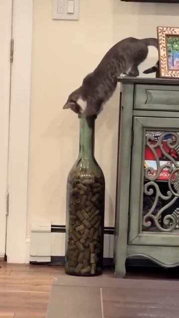 БИЗНЕС КАК СИСТЕМА НА МАРКЕТПЛЕЙСАХ WB/OZON