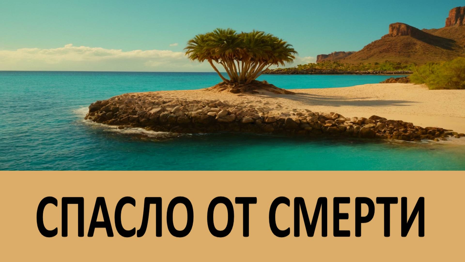 РЕАЛЬНАЯ ИСТОРИЯ, как ЕВАНГЕЛИЕ СПАСЛО ОТ СМЕРТИ! смотреть онлайн