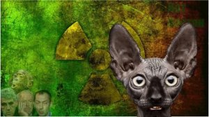 Как на духу ⧸ Кот Костян