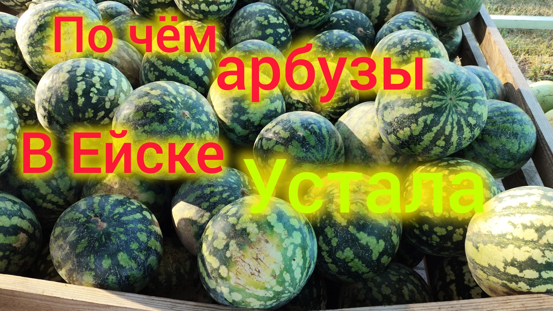 Ейск🍒/Володя пошёл в поликлинику/Очень УСТАЛА/Вкусный ГИРОС/Опять МЕДУЗЫ/Почём АРБУЗЫ в Ейске смотреть онлайн