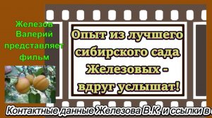 Опыт из лучшего сибирского сада Железовых - вдруг услышат!