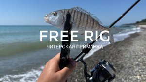 Оснастка FREE RIG + читерская приманка! Рыбалка на Черном море с Tetra Works React 58.
