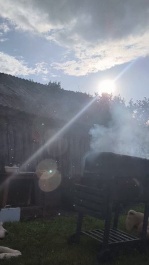 Прожарливость