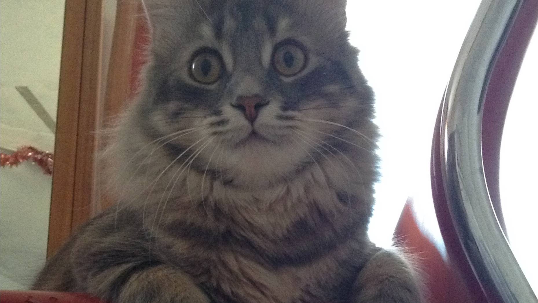 Марсик 4 смотреть онлайн