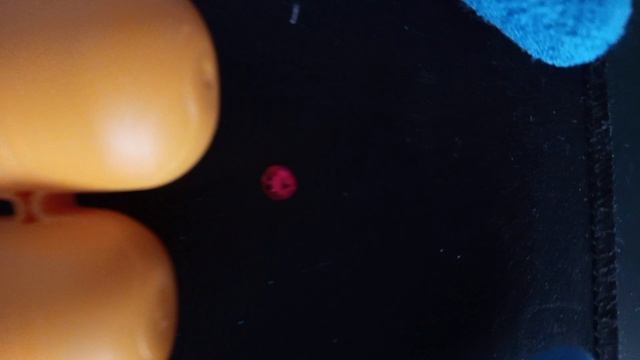 Вот что называется импровизация!😹🤣😂