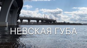 Невская губа