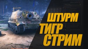 СТРИМ ШТУРМТИГР #генерал #миртанков