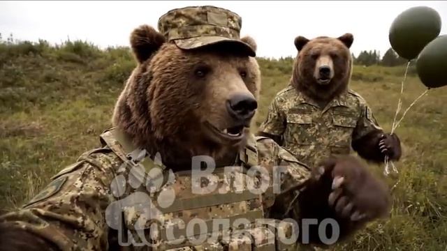 Влог Косолапого 11 смотреть онлайн