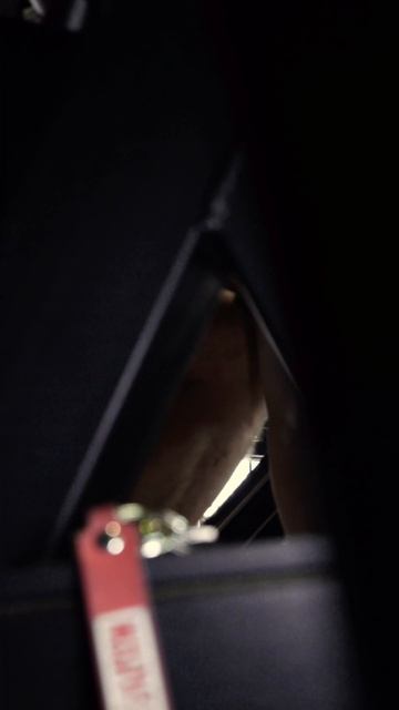 👻снимаю кино и внедряю ужасы в житейские истории🩸
@ddx_fitness с просмотрами не знаю, но считаю, что