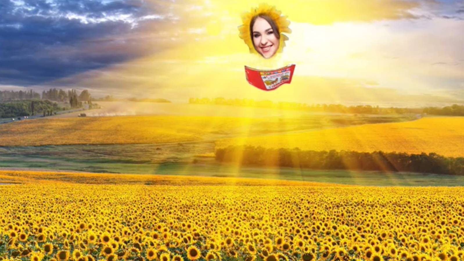 Подсолнушки