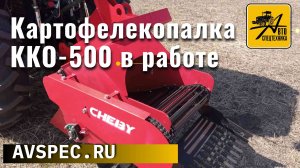 Картофелекопалка ККО-500 в работе. Копатель корнеплодов для тракторов от 22 л.с.