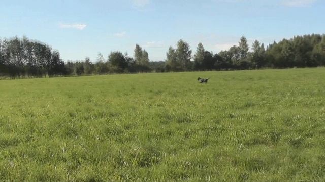 Гант. Челнок. Работа по дупелю. смотреть онлайн